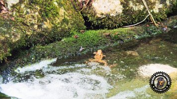 frillensee19062022 (83)_JPG