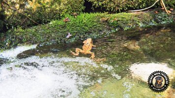 frillensee19062022 (84)_JPG