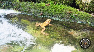 frillensee19062022 (85)_JPG