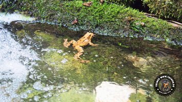 frillensee19062022 (86)_JPG