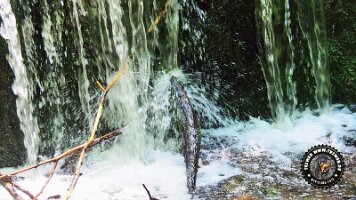 frillensee19062022 (87)_JPG