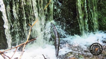 frillensee19062022 (88)_JPG