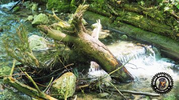 frillensee19062022 (89)_JPG