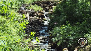 frillensee19062022 (90)_JPG