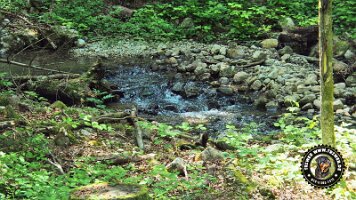 frillensee19062022 (91)_JPG