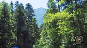 frillensee19062022 (93)_JPG