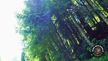 frillensee19062022 (95)_JPG