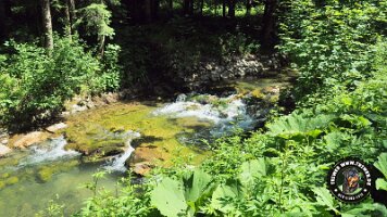 frillensee19062022 (96)_JPG