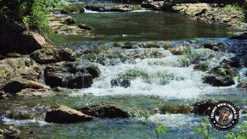 frillensee19062022 (98)_JPG