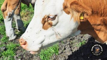 inzell18062022 (10)_JPG