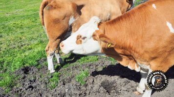 inzell18062022 (11)_JPG