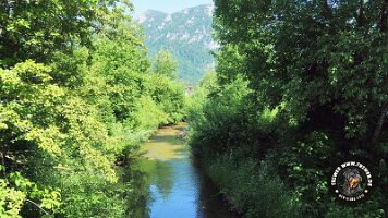 inzell18062022 (15)_JPG