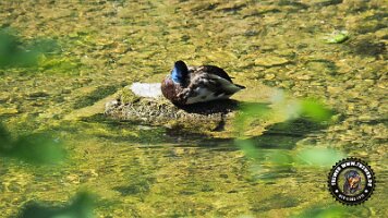 inzell18062022 (20)_JPG