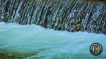 inzell18062022 (21)_JPG