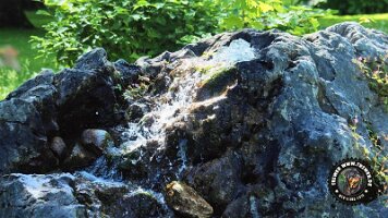 inzell18062022 (23)_JPG