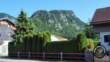 inzell18062022 (43)_JPG