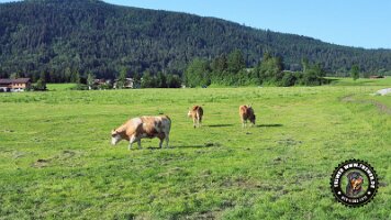 inzell18062022 (56)_JPG