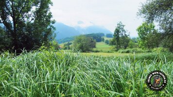 inzellpanoramaweg21062022 (10)_JPG