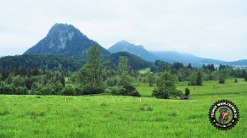 inzellpanoramaweg21062022 (102)_JPG