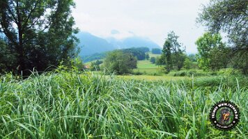 inzellpanoramaweg21062022 (11)_JPG