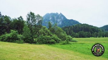 inzellpanoramaweg21062022 (111)_JPG