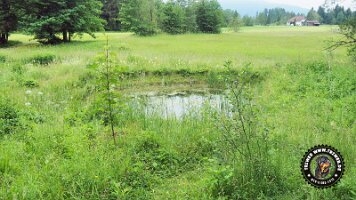 inzellpanoramaweg21062022 (115)_JPG