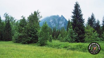 inzellpanoramaweg21062022 (116)_JPG