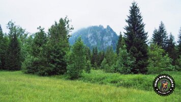 inzellpanoramaweg21062022 (117)_JPG