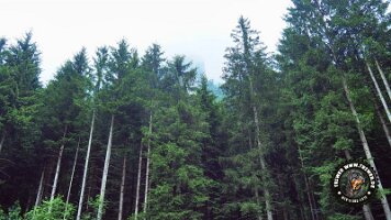 inzellpanoramaweg21062022 (124)_JPG