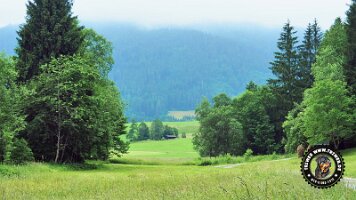inzellpanoramaweg21062022 (125)_JPG