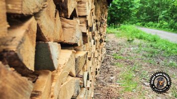 inzellpanoramaweg21062022 (127)_JPG