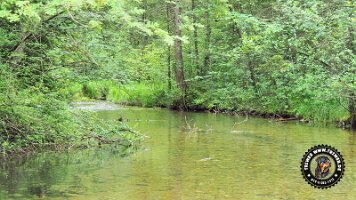 inzellpanoramaweg21062022 (128)_JPG