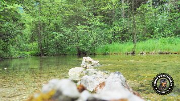 inzellpanoramaweg21062022 (129)_JPG