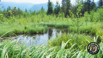 inzellpanoramaweg21062022 (13)_JPG