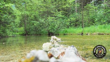 inzellpanoramaweg21062022 (130)_JPG