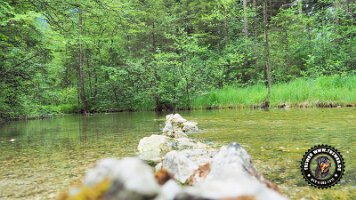 inzellpanoramaweg21062022 (131)_JPG