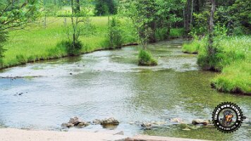 inzellpanoramaweg21062022 (132)_JPG