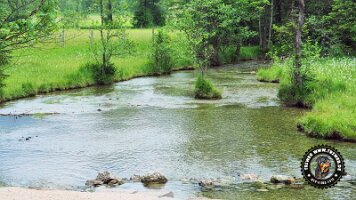 inzellpanoramaweg21062022 (133)_JPG