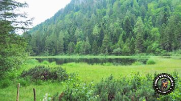 inzellpanoramaweg21062022 (135)_JPG