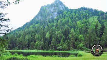 inzellpanoramaweg21062022 (136)_JPG