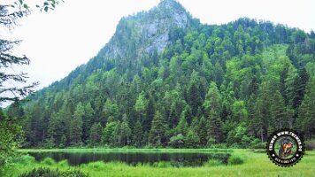 inzellpanoramaweg21062022 (137)_JPG