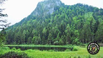 inzellpanoramaweg21062022 (138)_JPG