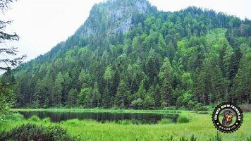 inzellpanoramaweg21062022 (139)_JPG