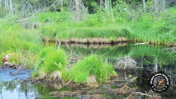 inzellpanoramaweg21062022 (14)_JPG