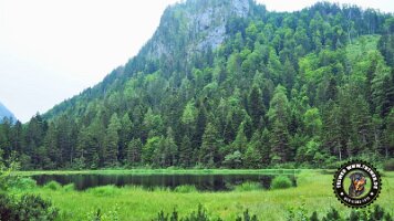 inzellpanoramaweg21062022 (140)_JPG