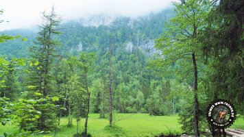 inzellpanoramaweg21062022 (141)_JPG