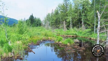 inzellpanoramaweg21062022 (15)_JPG