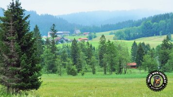 inzellpanoramaweg21062022 (150)_JPG