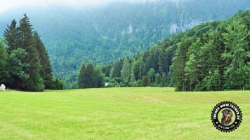 inzellpanoramaweg21062022 (152)_JPG