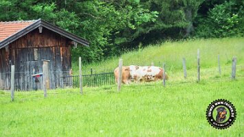 inzellpanoramaweg21062022 (153)_JPG